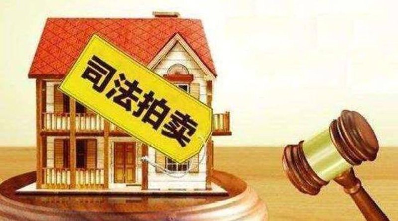 拍卖公告：市场动态与行业趋势简析